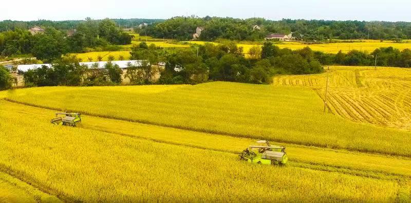 永利皇宫·(463cc) - 官方网站